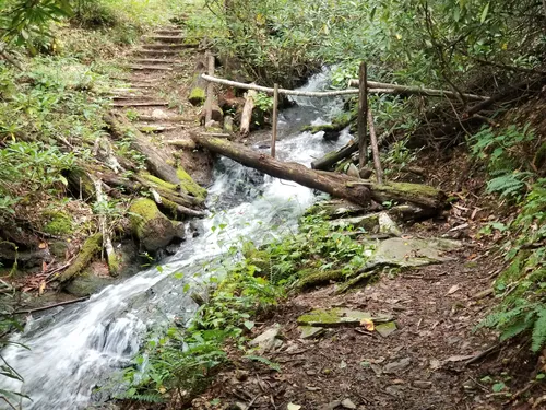 Best trails pisgah outlet national forest