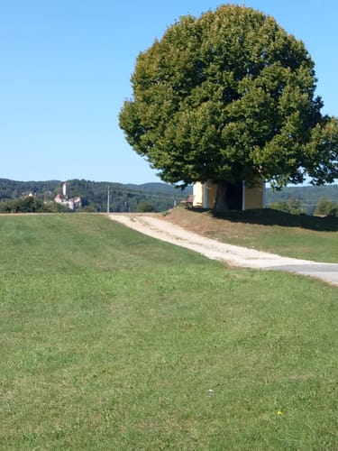 Der Karstkundliche Wanderpfad
