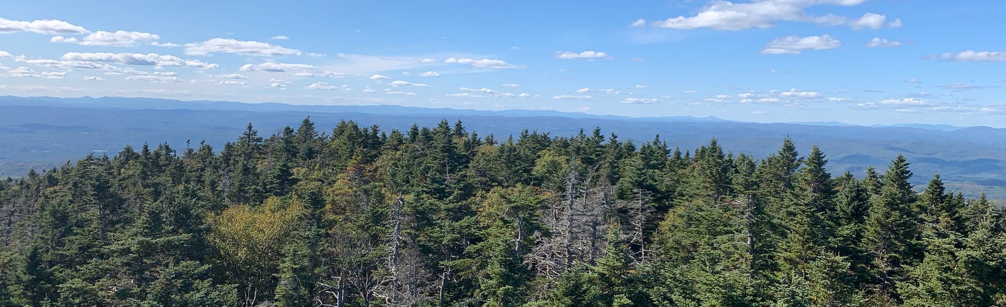 Smarts Mountain via Daniel Doan Trail New Hampshire AllTrails