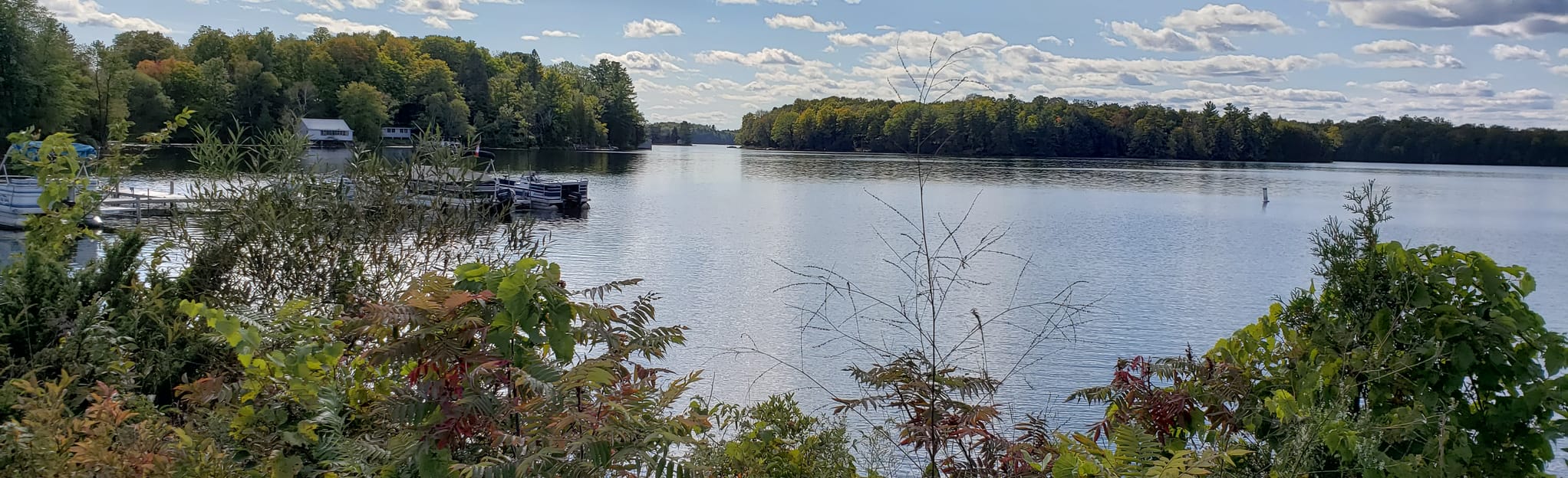 K&P Trail Sharbot Lake 24 Reviews, Map Ontario, Canada AllTrails