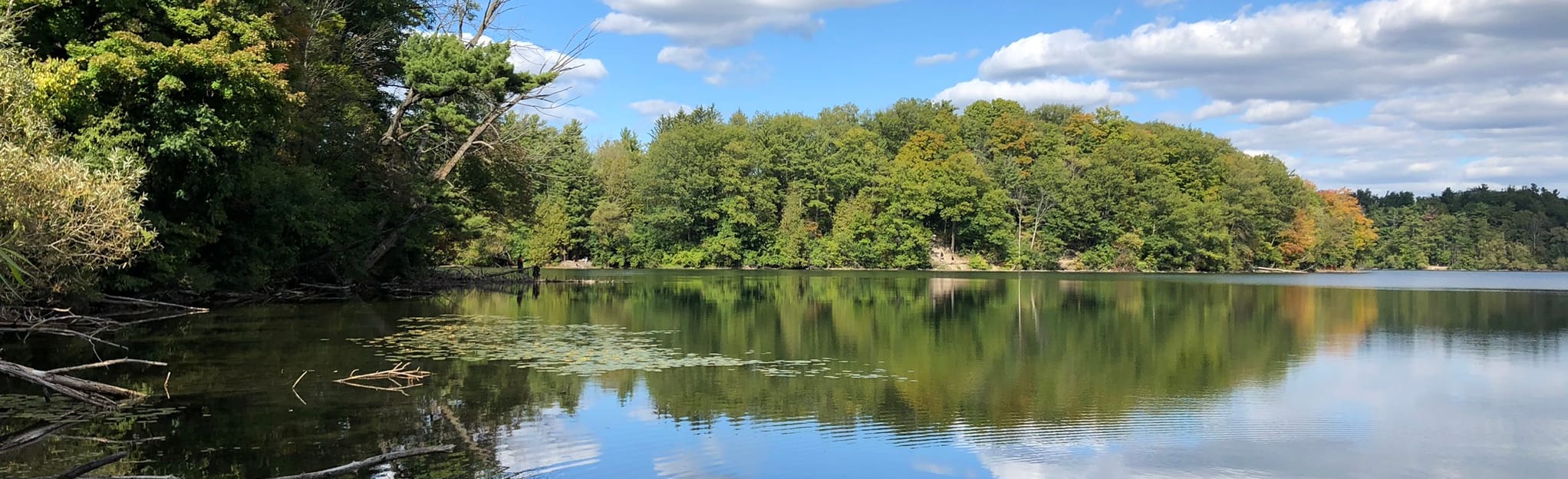 Bond Lake Loop 1.136 foto's Ontario, Canada AllTrails