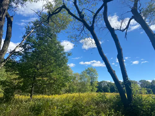 Best Hikes and Trails in Kettle Moraine State Forest Lapham Peak Unit ...