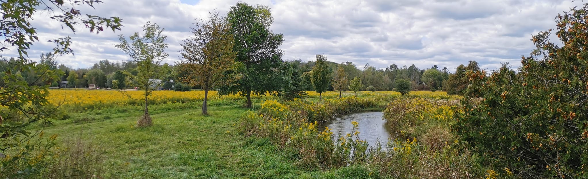 Main Tract (MTB Trail), Ontario, Canada 70 Reviews, Map AllTrails