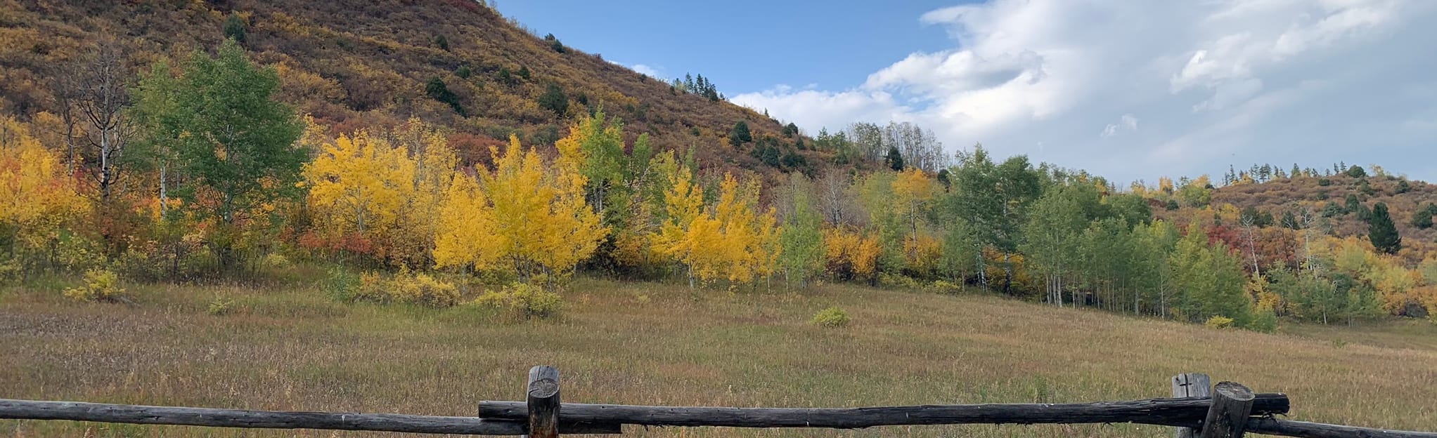 Colorow Creek Trail, Colorado 49 Reviews, Map AllTrails