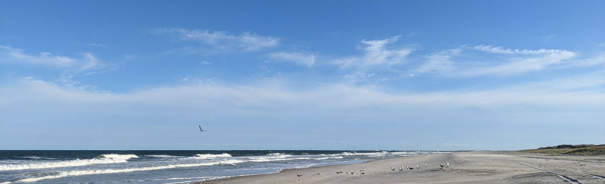 Island Beach State Park Ocean View Trail, New Jersey - 158 Reviews, Map ...