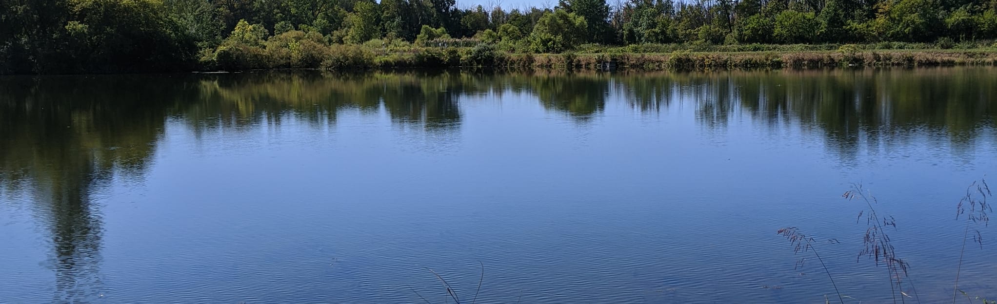 Wolf Lake Fish Hatchery Loop | Map, Guide - Michigan | AllTrails