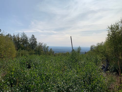 Rundwanderweg Vogel Platte
