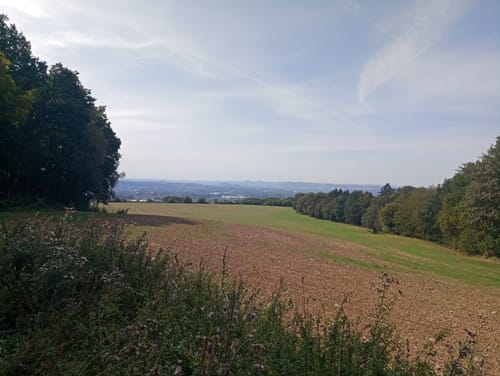 Saynsteig (Traumpfad)
