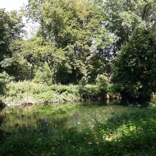 An der Donau von Lauingen nach Offingen
