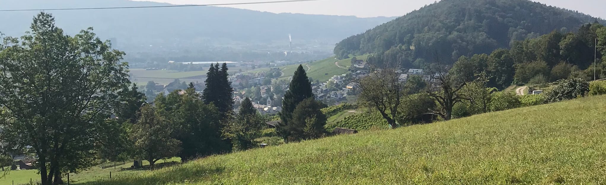 Käferberg - Katzensee - Gubrist - Altberg: 86 Fotos - Zürich, Schweiz ...