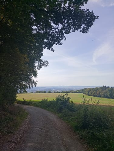 Saynsteig (Traumpfad)