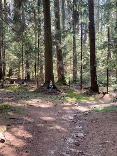 Rundweg Velden - Taufkirchen