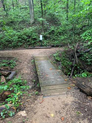 Best Hikes and Trails in Pleasant Ridge Park | AllTrails