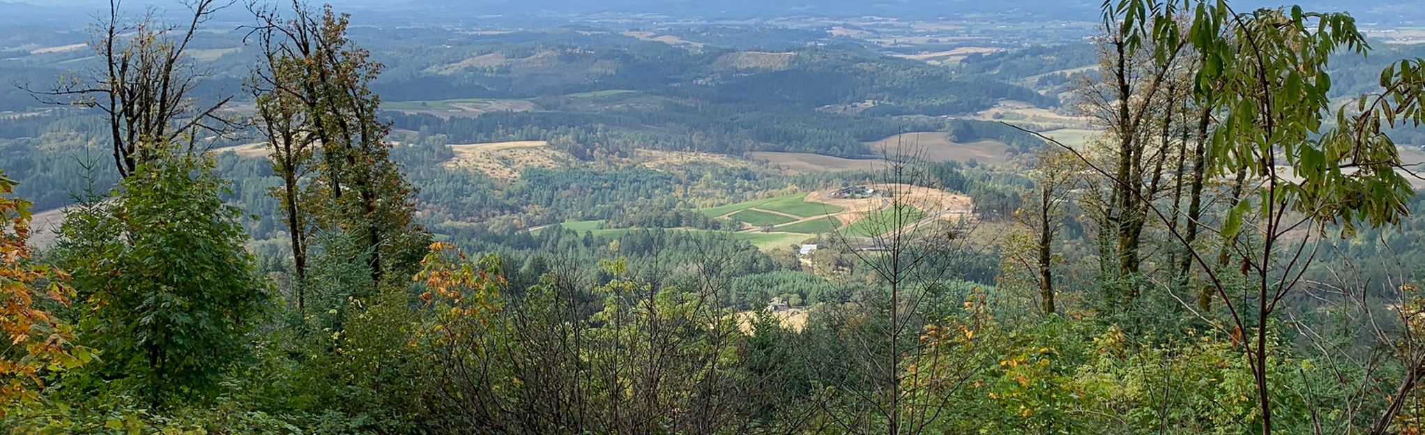 Oregon's Bald Peak: Where the Sky Meets the Earth