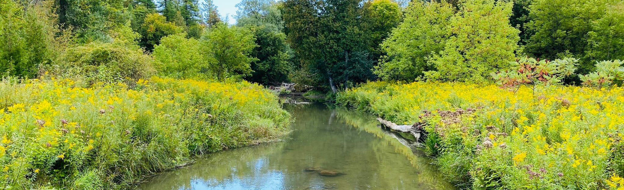 Greenwood Conservation Area (South Loop) 363 Reviews, Map Ontario