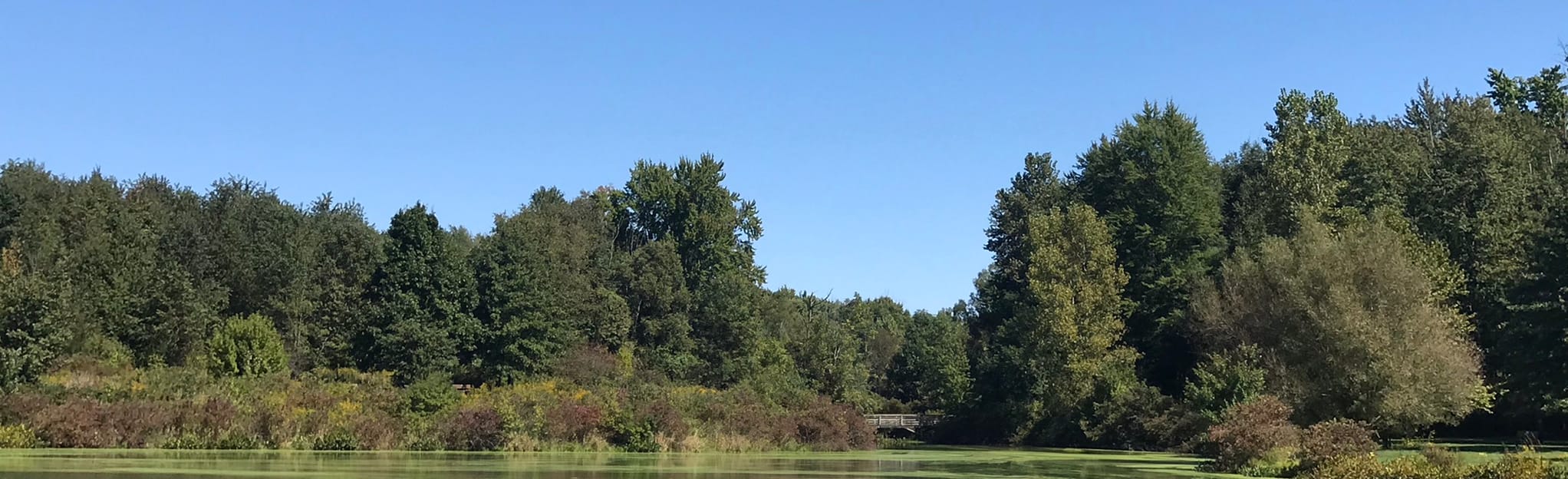 Buckeye Woods Ohio 457 Reviews - EyJidWNrZXQiOiJhc3NldHMuYWxsdHJhaWxzLmNvbSIsImtleSI6InVwbG9hZHMvcGhvdG8vaW1hZ2UvMjk3NTc3MTEvNzA3ZGJhNDAzNWY0ZWY1ZDIyN2EyNTYzZjM1ODEyYzIuanBnIiwiZWRpdHMiOnsidG9Gb3JtYXQiOiJqcGVnIiwicmVzaXplIjp7IndpZHRoIjoyMDQ0LCJoZWlnaHQiOjYyNCwiZml0IjoiY292ZXIifSwicm90YXRlIjpudWxsLCJqcGVnIjp7InRyZWxsaXNRdWFudGlzYXRpb24iOnRydWUsIm92ZXJzaG9vdERlcmluZ2luZyI6dHJ1ZSwib3B0aW1pc2VTY2FucyI6dHJ1ZSwicXVhbnRpc2F0aW9uVGFibGUiOjN9fX0=