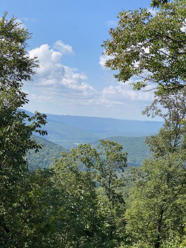 are dogs allowed at south cumberland state park