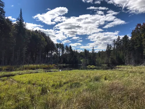 10 Best Lake Trails in Otter Lake | AllTrails