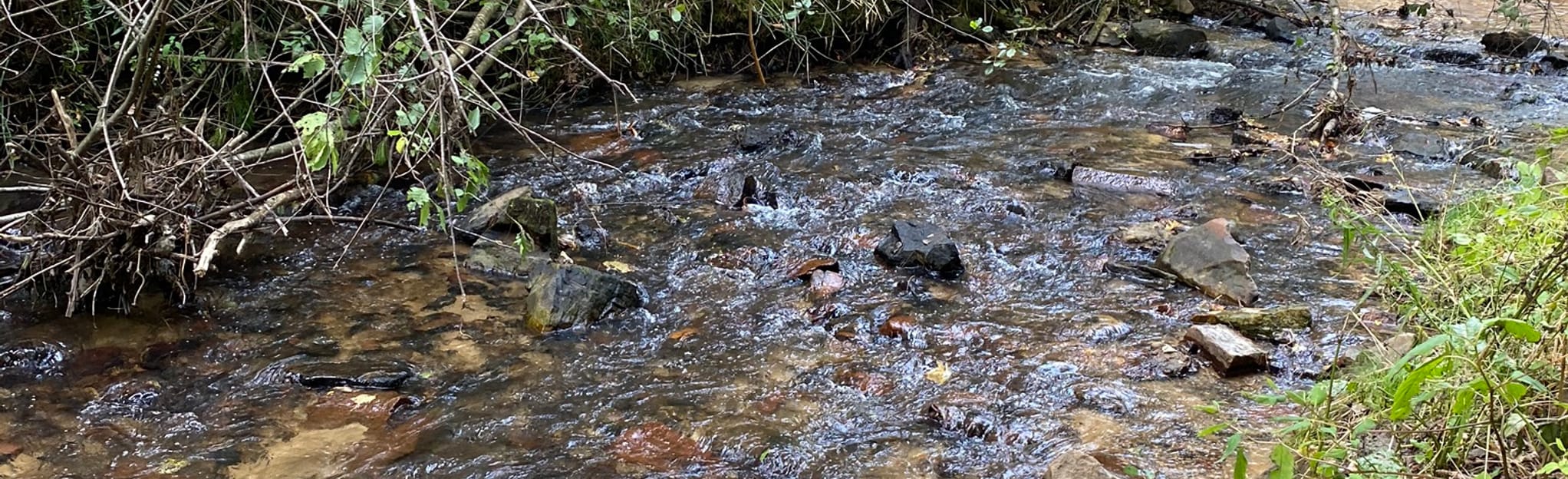 Foundation Trail 42 Reviews, Map Wisconsin AllTrails