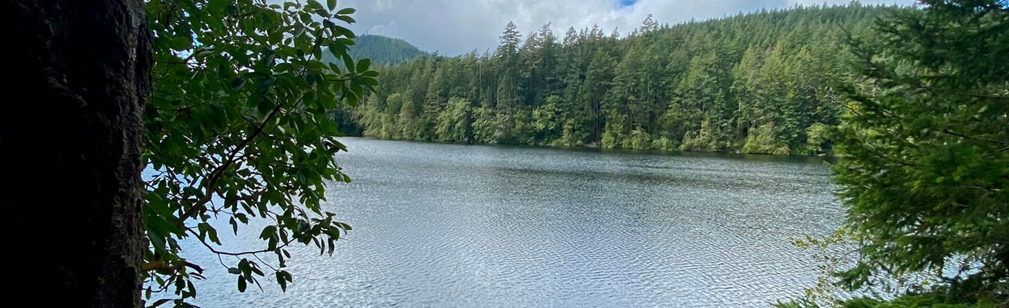 Whistle Lake Trail Washington AllTrails
