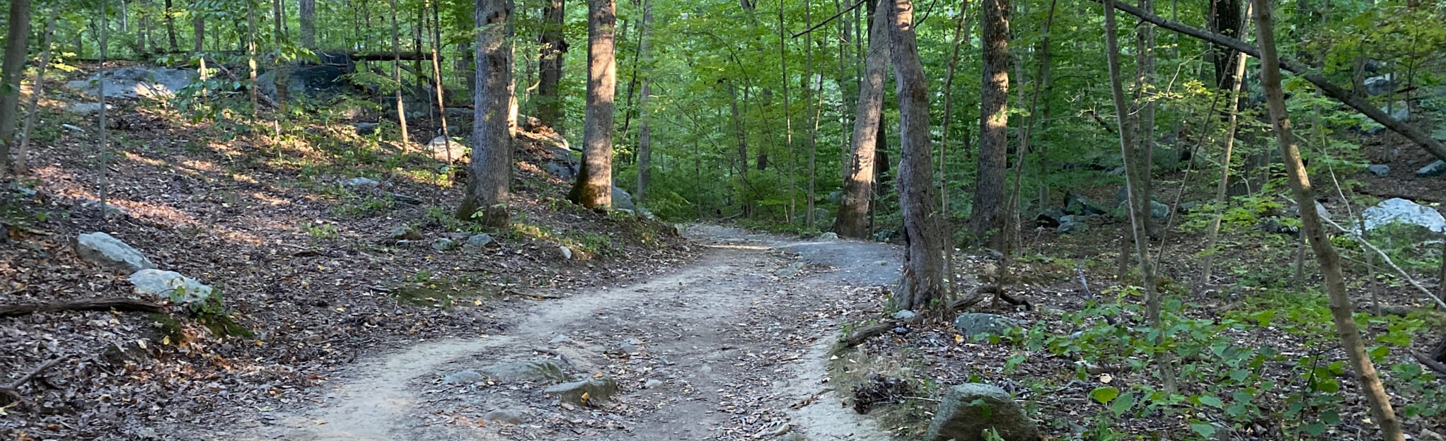Mamaroneck Reservoir via Yellow Trail Loop, 281 Photos New York