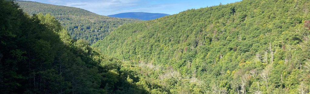 Water Street Welcomes Walking-Loop Wanderers in Catskill, NY