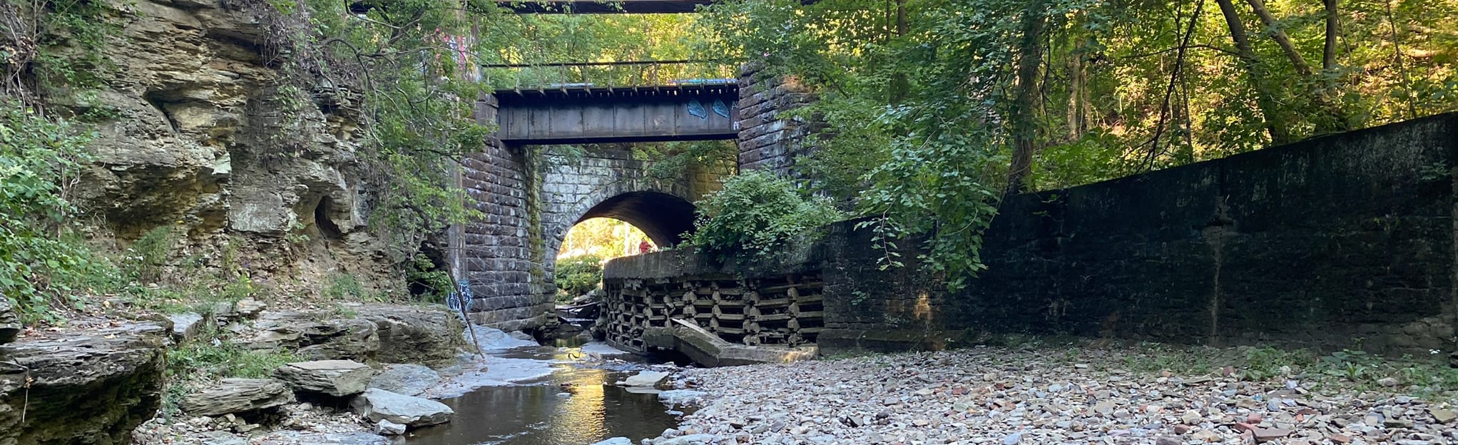 Beechview Brashear Trail, Pennsylvania 35 Reviews, Map AllTrails