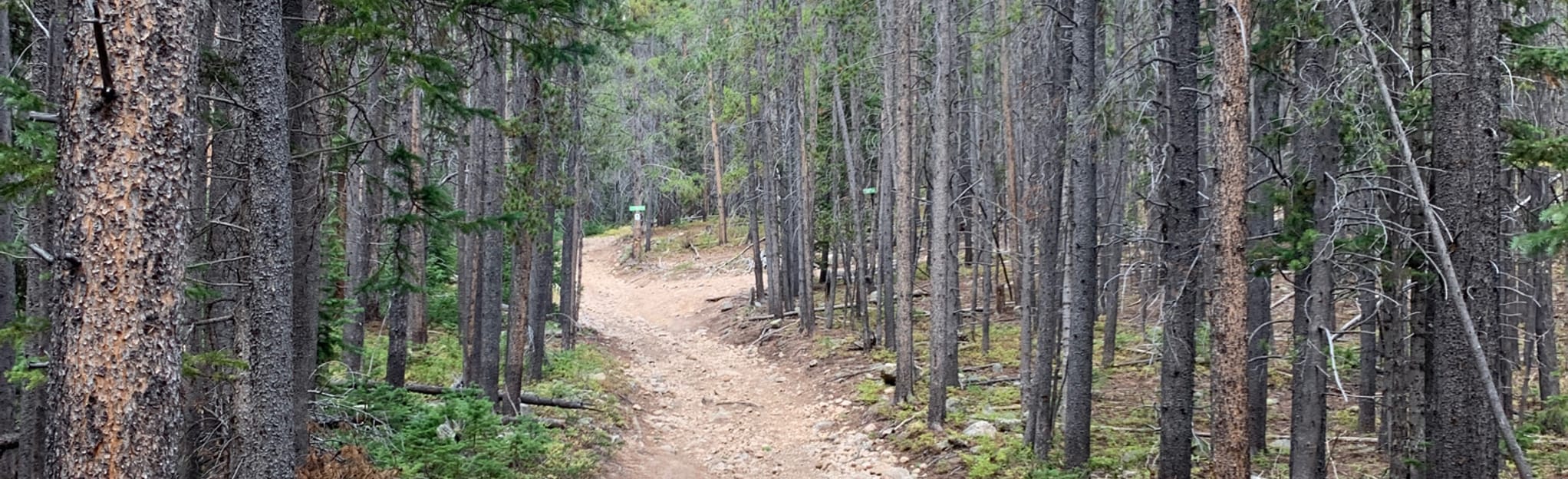 17th Ave, Deadman's Gulch, Meadows and Zarlengo Loop Map, Guide