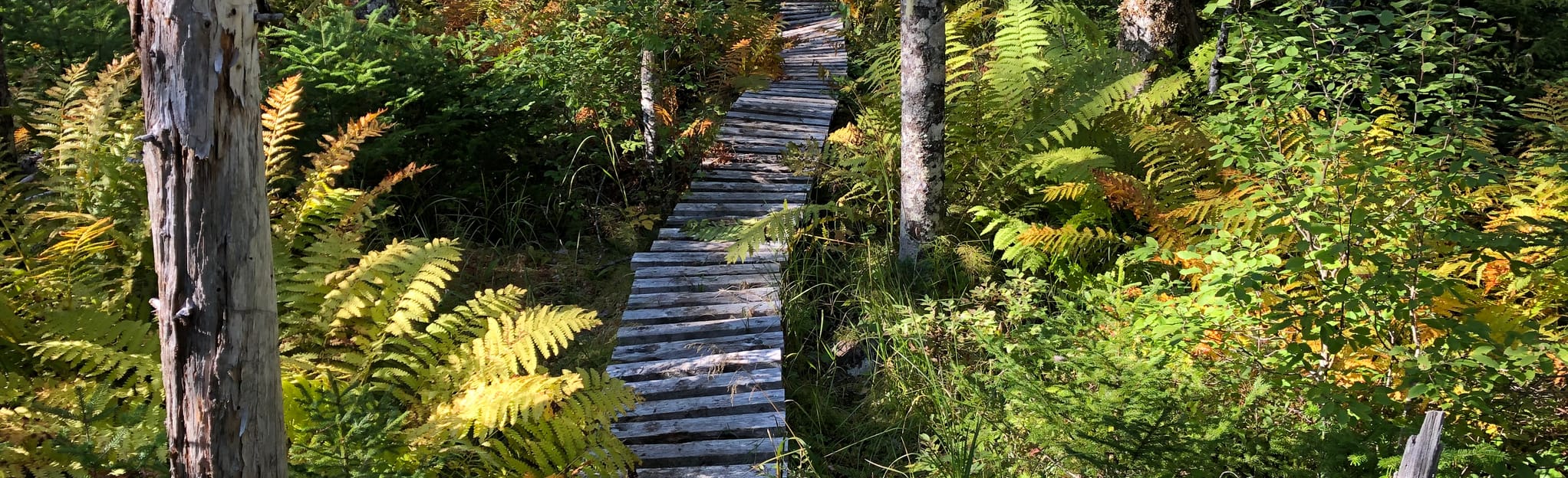 Mount Uniacke 9 Fotos Nova Scotia, Kanada AllTrails