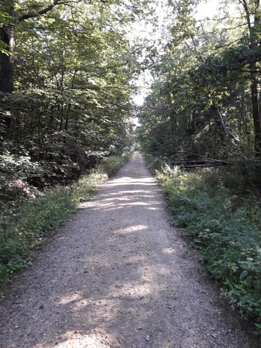 Gr. Haaler Gehege Route