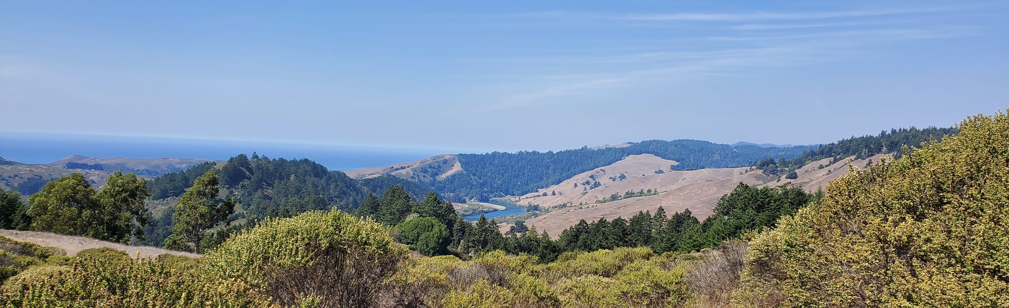 Island in the Sky and Fern Tree and Badger Hill Vista Trail Loop 278