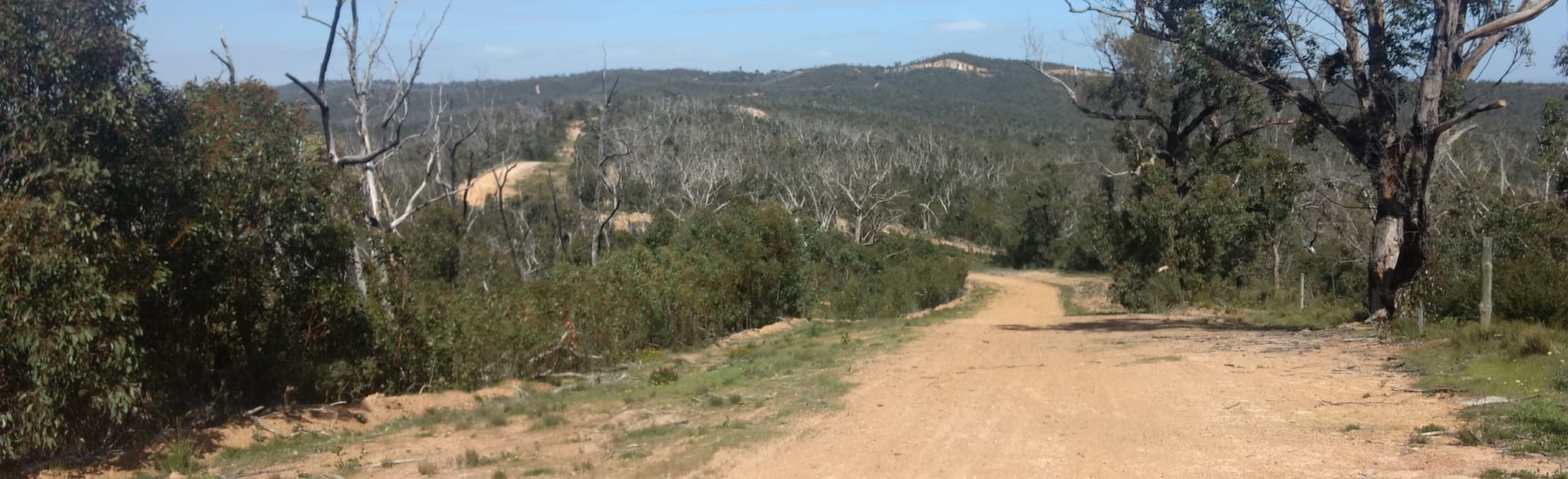 Mary Gully via Kersbrook Forest 16 Fotos South Australia, Australien