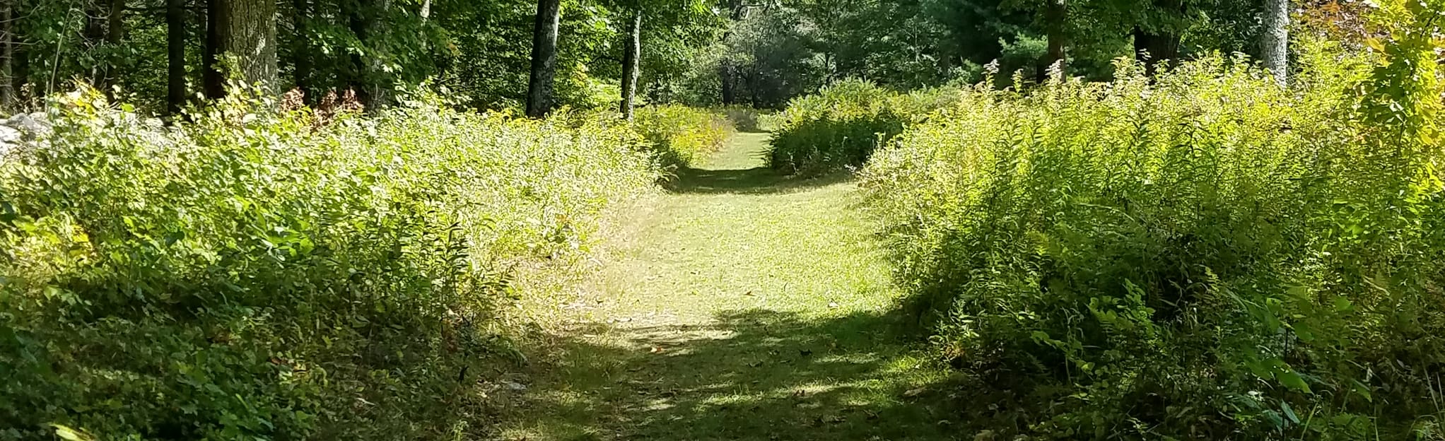 Swift River Red Loop Trail, Massachusetts 134 Reviews, Map AllTrails