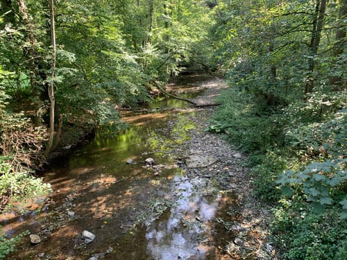 Moselsteig Etappe 20: Treis-Karden - Moselkern