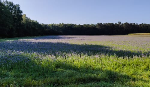 Ums Bissendorfer Moor ab Kaltenweide