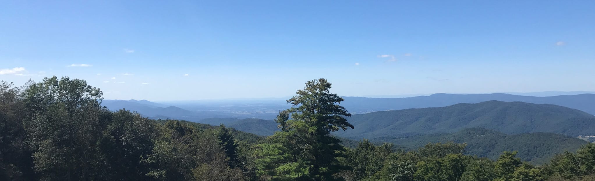 AllTrails Powell Mountain Trail 83 Reviews, Map Virginia