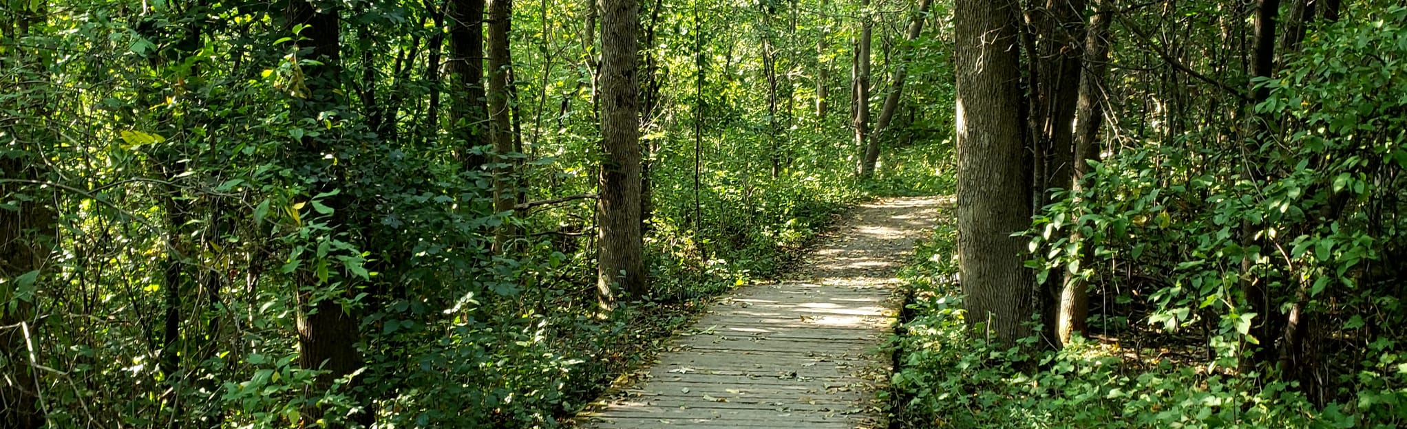 Gray's Creek Trail 10 foto's Ontario, Canada Wandelen AllTrails