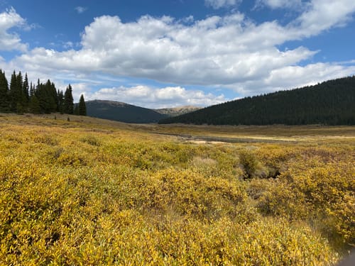 Best hikes and trails in Buffalo Peaks Wilderness AllTrails