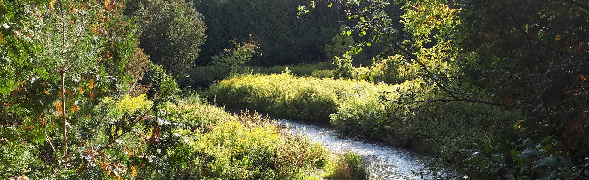 Cedar Valley Loop 125 Reviews, Map Ontario, Canada AllTrails