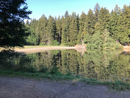 Sophienhof nach Benneckenstein über Stierberg