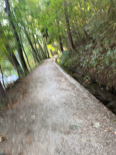 An der Donau von Lauingen nach Offingen