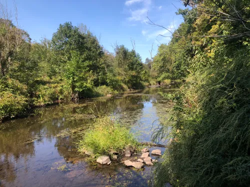 10 Best Hikes and Trails in Sleeping Giant State Park | AllTrails