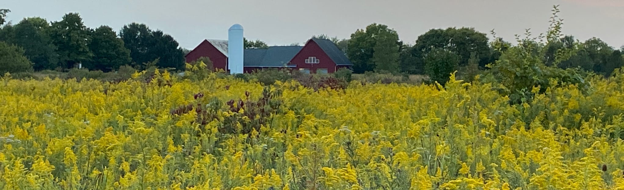 Killdeer and Yellowlegs Trail, Ohio 202 Reviews, Map AllTrails