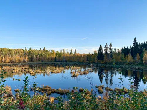 2023 Best 10 Trails, Walks, and Paths in Strathcona County | AllTrails