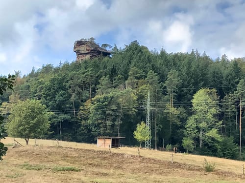 Hauenstein nach Bärenbrunnerhof um dem Eichelberg