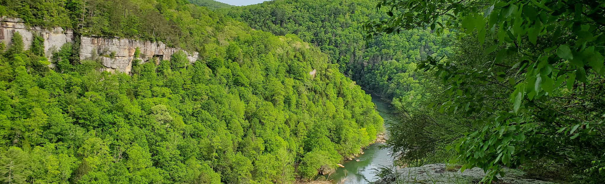 Obed Wild and Scenic River: Nemo Bridge to Devil's Breakfast Table