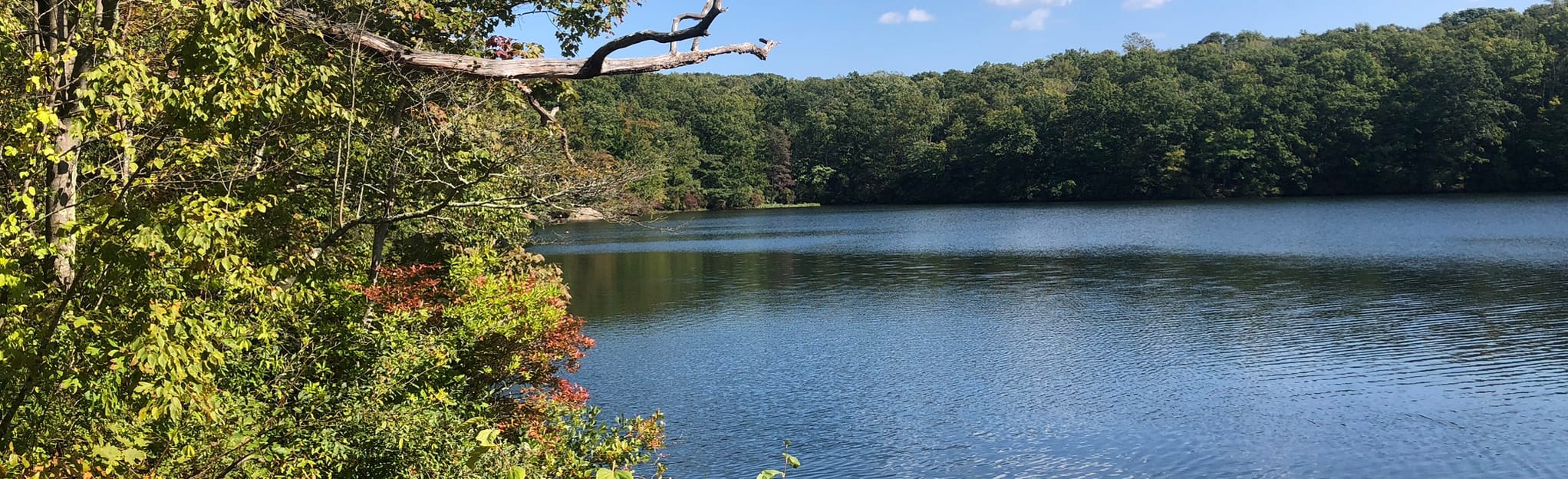 Mattabesett Trail Higganum Road to Aircraft Road, Connecticut 18