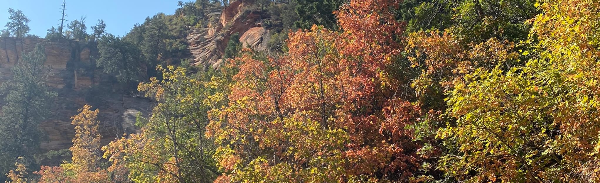 Clear Creek Wash 155 Reviews, Map Utah AllTrails