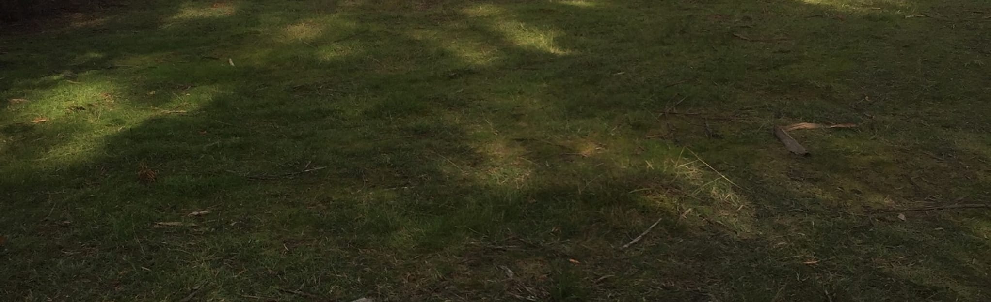 Little Swan Point Track, Tasmania, Australia 36 Reviews, Map AllTrails