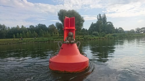 Paddeln an der Elbe